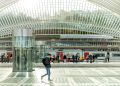 Gare Guillemins 002