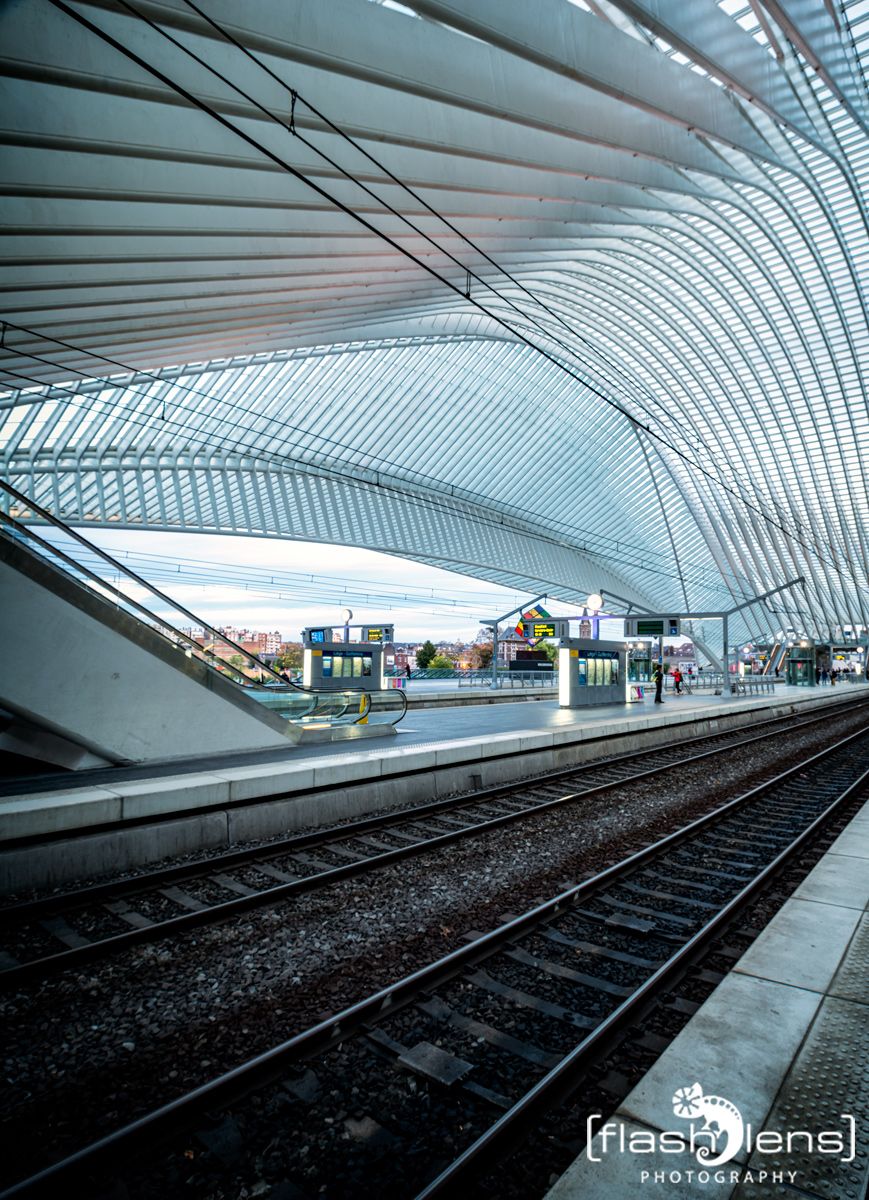 Gare Guillemins 005