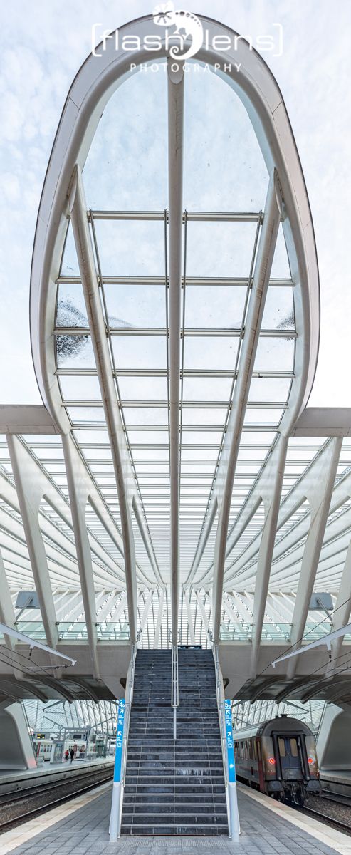 Gare Guillemins 007