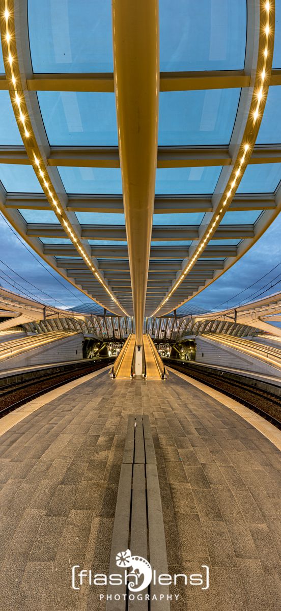 Gare Guillemins 008