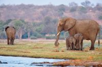 002 Chobe Riverfront Zim 2010 18