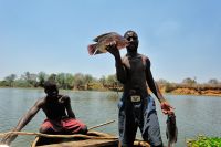 004 Lake Kariba Zim 2010 10