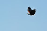 004 Lake Kariba Zim 2010 12