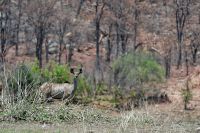 004 Lake Kariba Zim 2010 13
