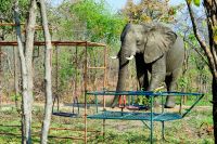 004 Lake Kariba Zim 2010 16