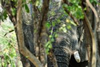 004 Lake Kariba Zim 2010 17