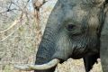 004 Lake Kariba Zim 2010 18