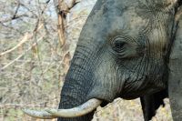 004 Lake Kariba Zim 2010 18