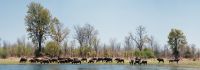 004 Lake Kariba Zim 2010 5