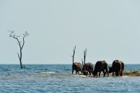 004 Lake Kariba Zim 2010 6