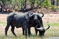 004 Lake Kariba Zim 2010 7