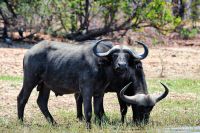 004 Lake Kariba Zim 2010 7
