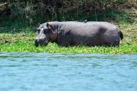 004 Lake Kariba Zim 2010 8