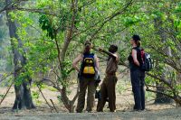 005 NP Mana Pools Zim 2010 7
