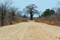 005 NP Mana Pools Zim 2010 83