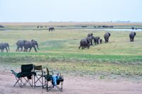 008 Chobe NP Zim 2010 18
