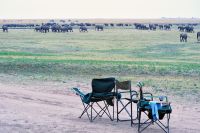 008 Chobe NP Zim 2010 19