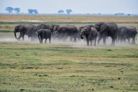 008 Chobe NP Zim 2010 21