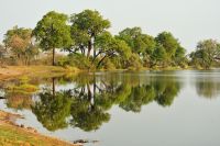 009 Mudumu NP Zim 2010 20