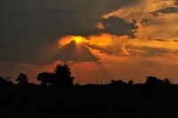 009 Mudumu NP Zim 2010 29