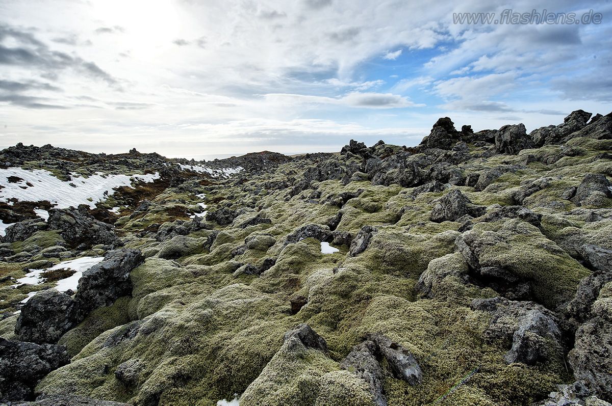 Island 2013 044