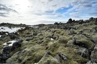 Island 2013 044