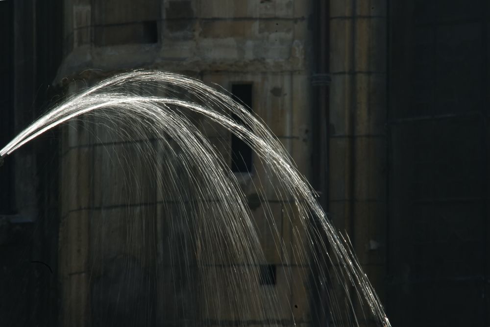 Paris 043