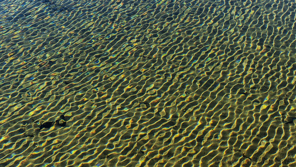 Island 2013 127