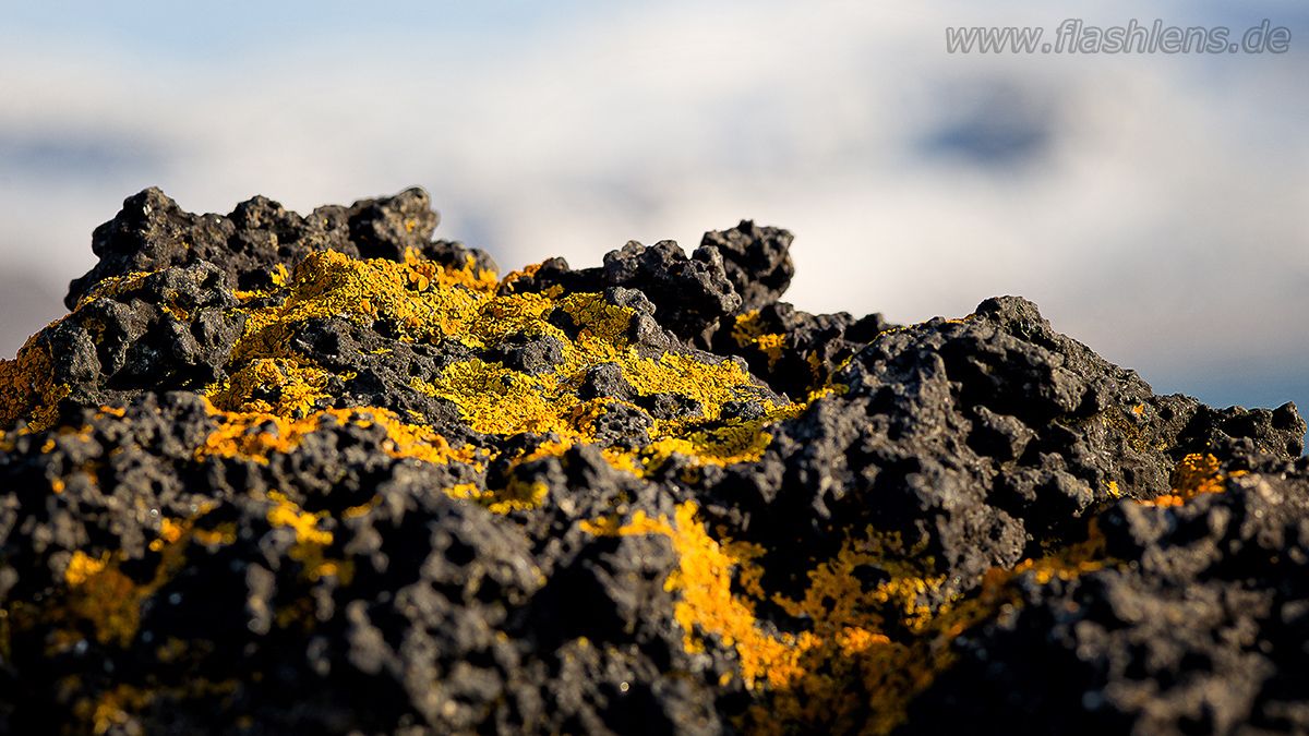 Island 2013 135