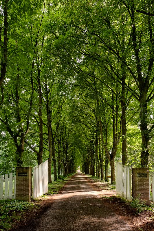 Niederlande 089
