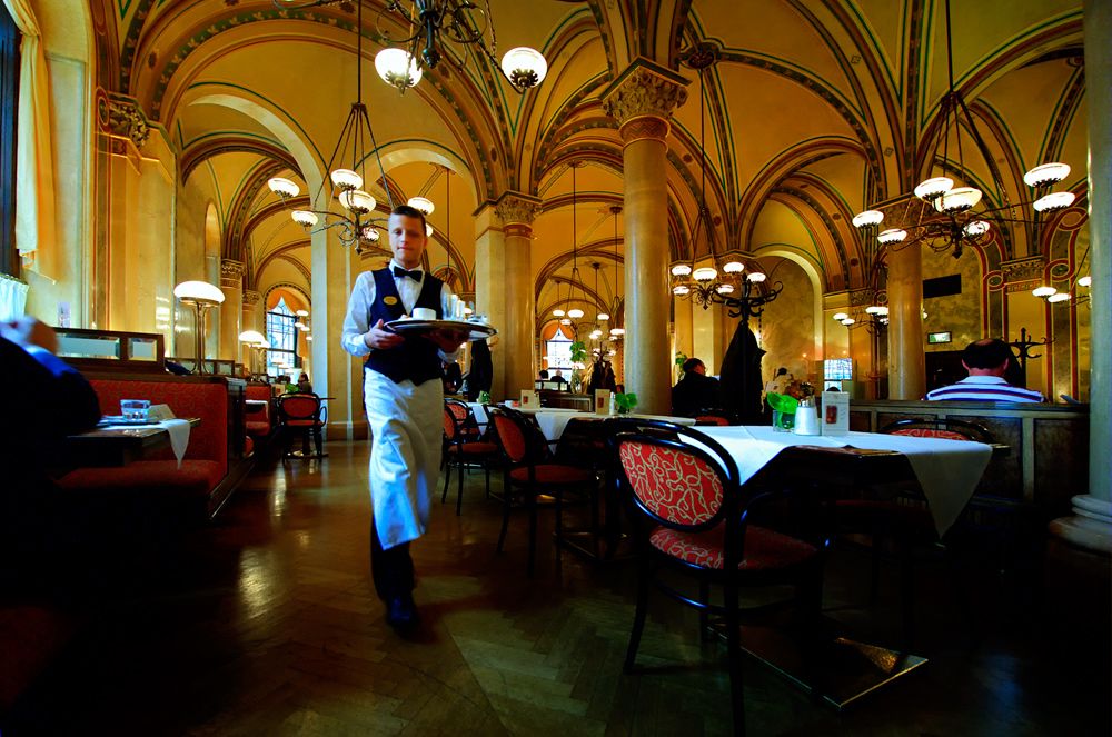 Wien 2010 014