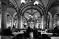 Wien 2010 015