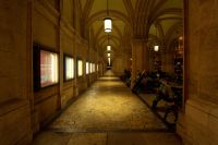 Wien 2010 017