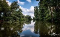 10 Donaudelta 041