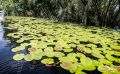10 Donaudelta 045
