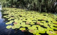 10 Donaudelta 045
