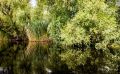 10 Donaudelta 046