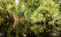 10 Donaudelta 046