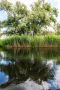 10 Donaudelta 049
