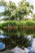 10 Donaudelta 049