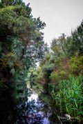 10 Donaudelta 050