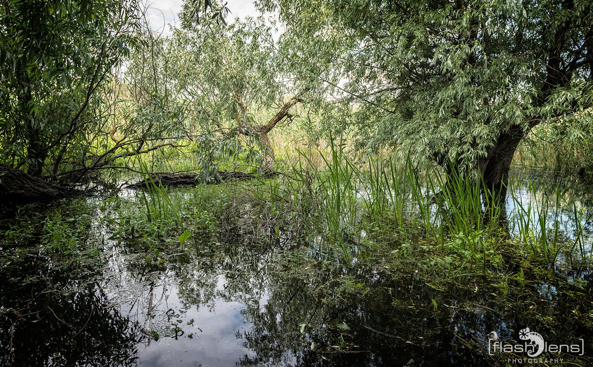 10 Donaudelta 051