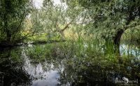 10 Donaudelta 051