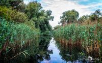 10 Donaudelta 052