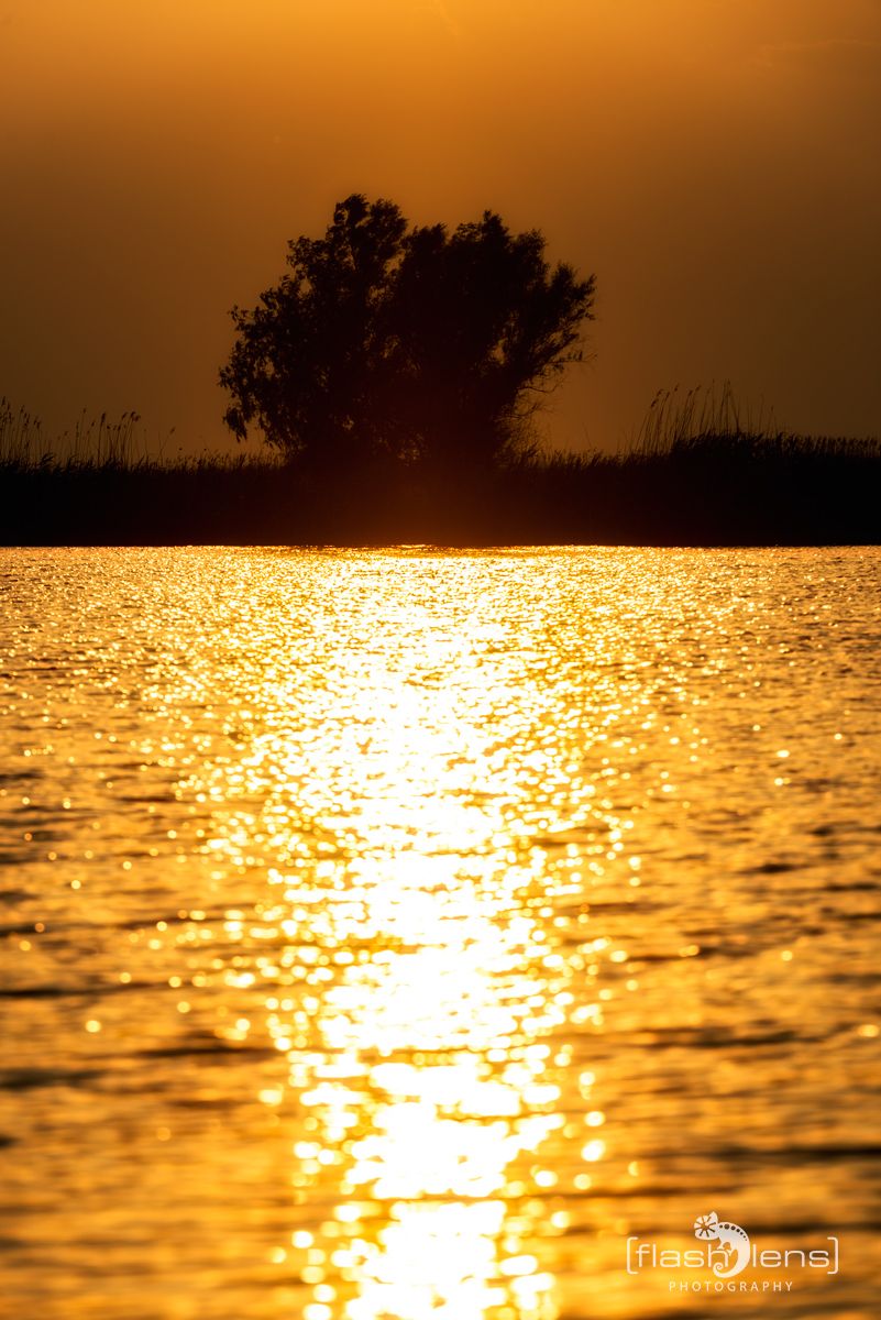 10 Donaudelta 063
