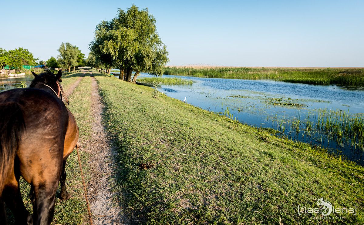 10 Donaudelta 069