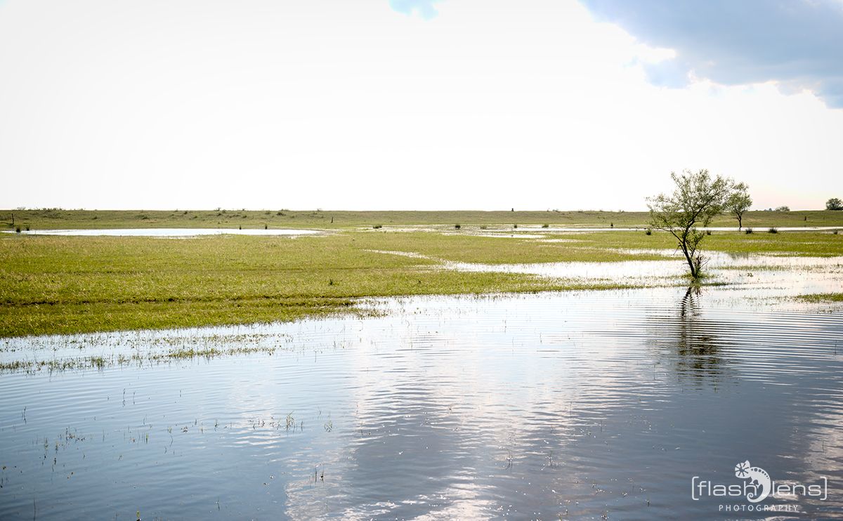 10 Donaudelta 075
