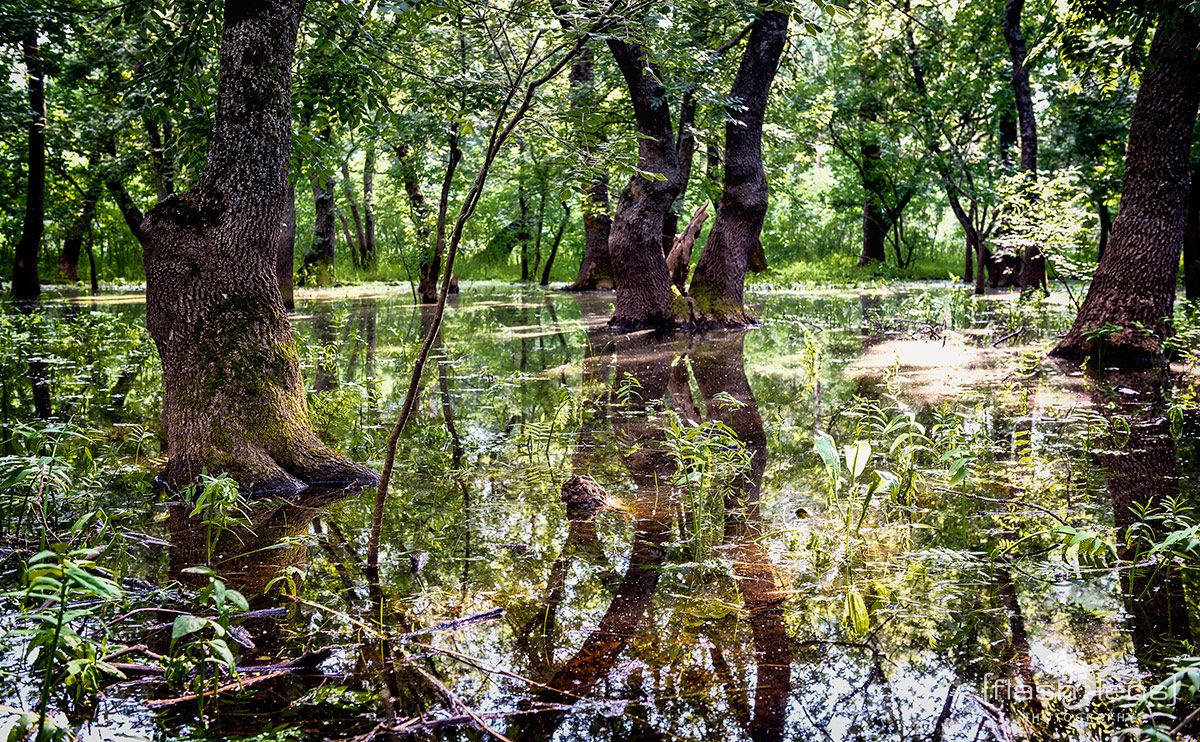10 Donaudelta 089