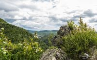 50 Burgruine Poienari 006