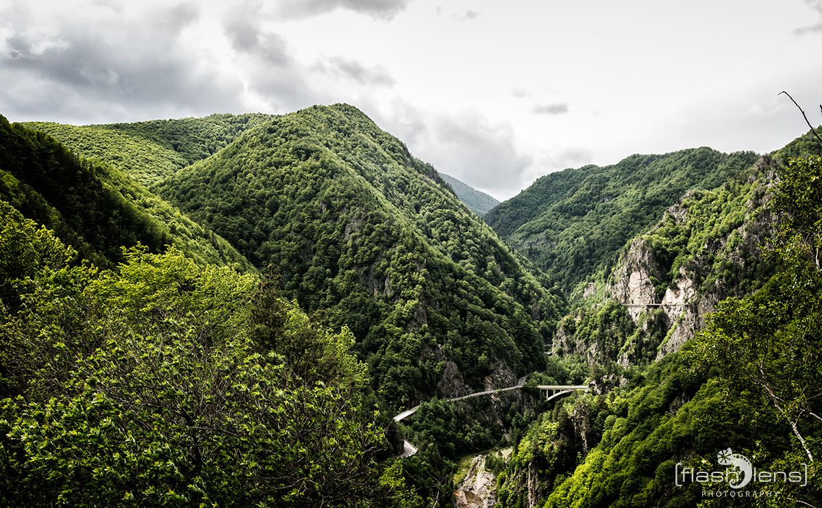 50 Burgruine Poienari 009